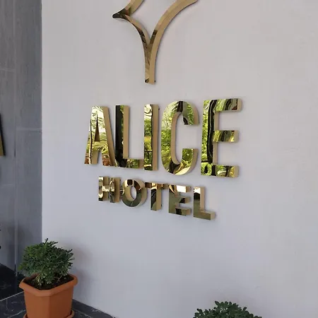 Hotel Alice