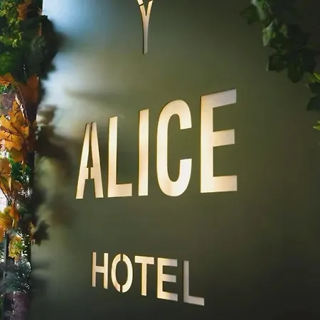 Alice *
