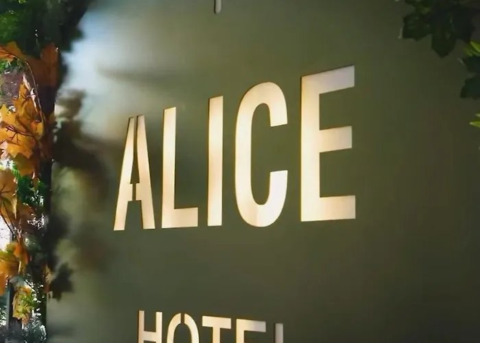 Alice *
