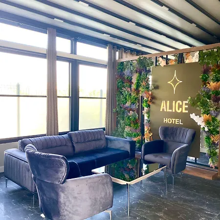 Hotel Alice